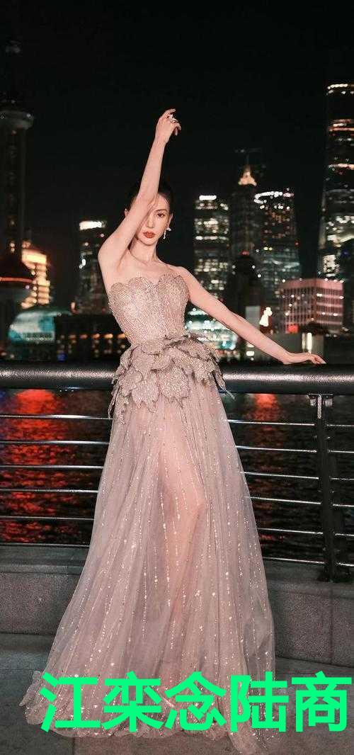 江念白陆迟年免费阅读