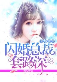 婚宠秘爱闪婚总裁宠不停