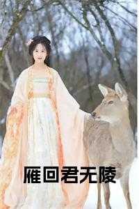 免费阅读雁回