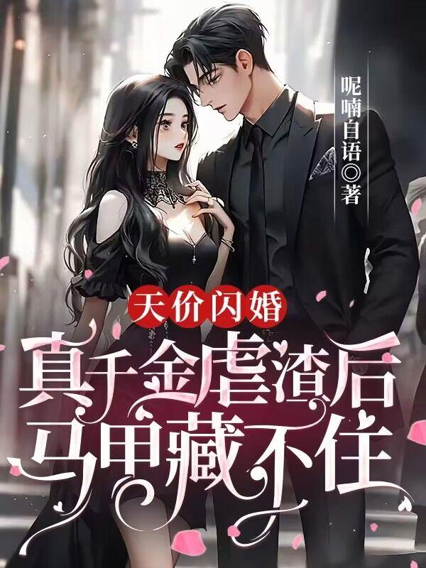 天价闪婚