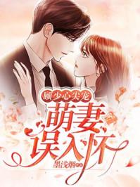 顾少心尖宠萌妻误入怀墨浅烟
