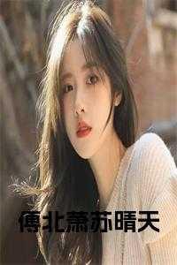 傅北萧与苏晴天免费阅读