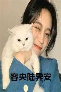 容央陆霁安评论