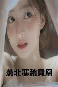萧北寒魏霓凰免费无弹窗