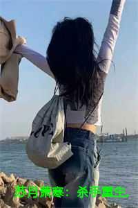 我的老爸是皇上苏月的26