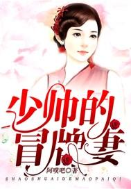 少帅的前妻