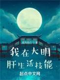 我在大明当大官