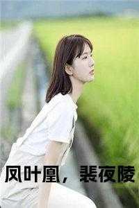 凤夜匪懈怎么读