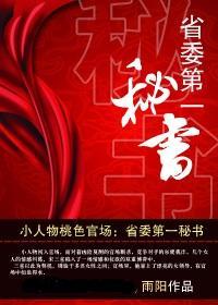 官途第一秘书 雨阳