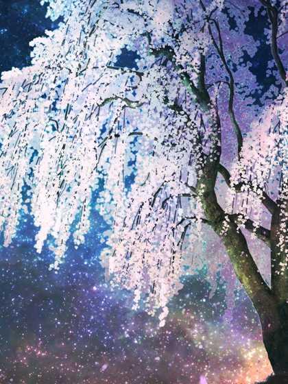 姜蕴芝 谈亦驰
