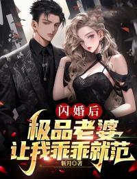 闪婚总裁极致宠爱