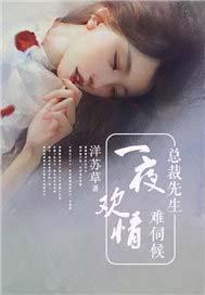 名字 「一夜锁情