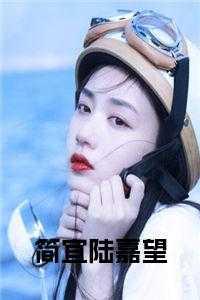 女主叫陆简的