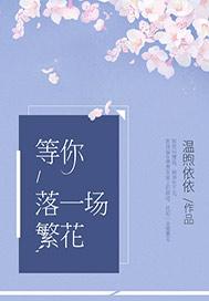等你落一场繁花(叶北城)全文免费阅读