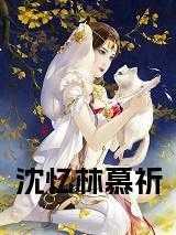 沈慕麟林倾