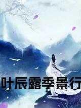 男主叶景辰的