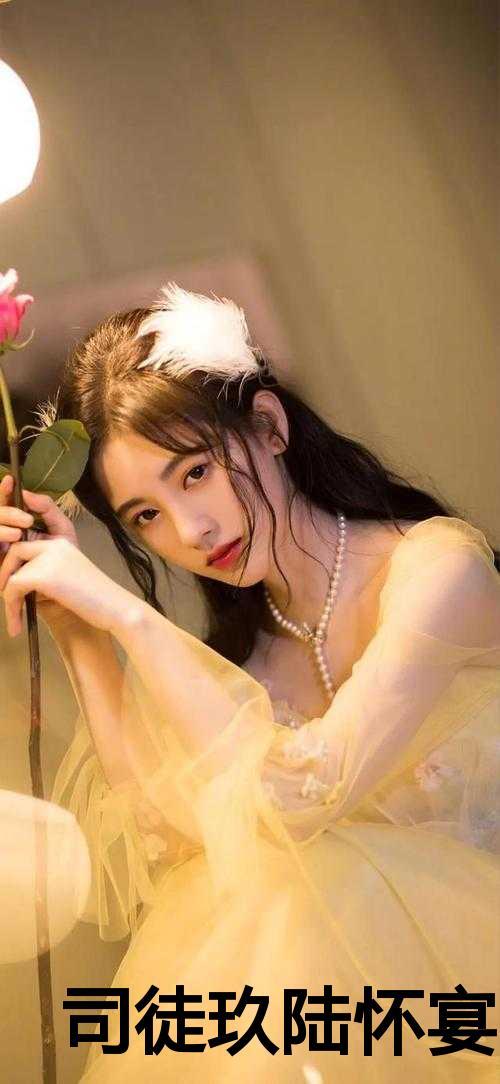 司徒玖陆怀宴全文