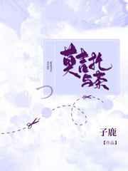 莫吉托与茶讲的什么