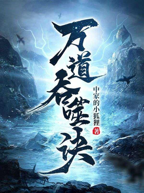 万道吞噬诀沈天几个老婆
