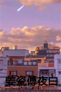 姜瓷傅夜白机长航医