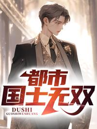 都市之国士无双江十七