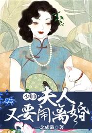 少帅夫人又要闹离婚