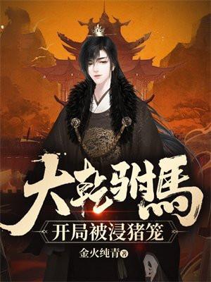 大乾驸马开局被浸猪笼女主角