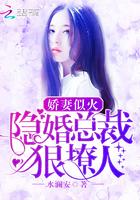 隐婚娇妻