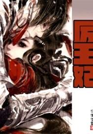王妃要升职