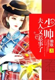 夫人又惹事了免费阅读