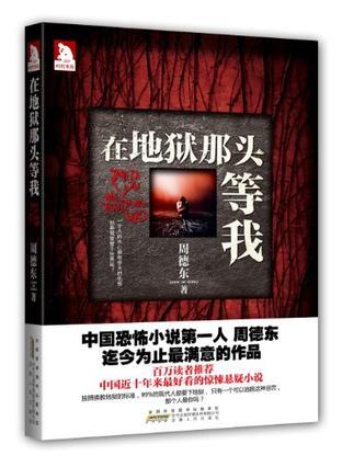 在地狱那头等我评分