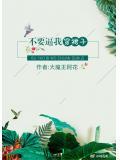 别穿裙子总裁