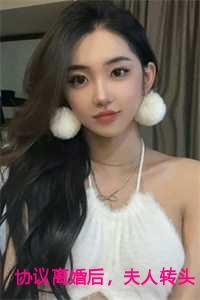 协议离婚后夫人转头改嫁了大结局