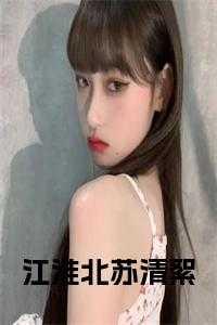 苏清语江淮年叶执故