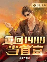 苏小暖的全部