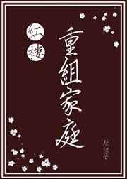 红楼重组家庭txt 百度