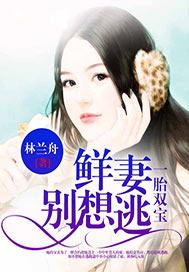 鲜妻一胎双胞 总裁独宠妻免费阅读