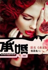 承婚记电视剧免费观看完整版