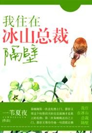 我住在冰山总裁隔壁的