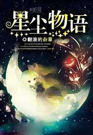 星尘物语动画播放不了