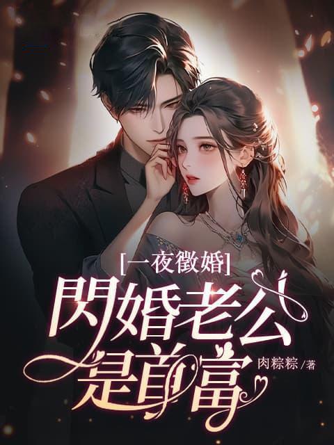 一夜征婚闪婚老公是首富厉薄谌洛宁溪