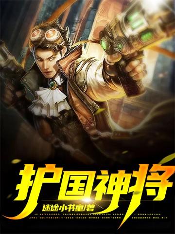 护国神将短剧合集