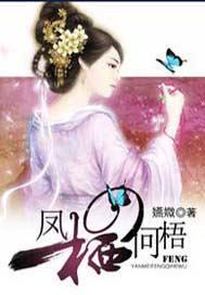 凤栖梧什么意思