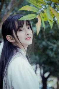 打造了史上最强家族