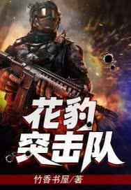 花豹突击队最新章节免费阅读