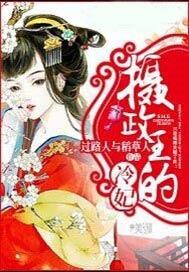 新摄政王的冷妃讲的什么