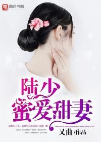 陆少蜜宠小甜心全文免费阅读