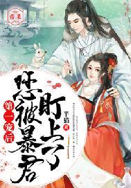 第一宠全文免费阅读