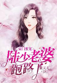豪门密宠陆少你老婆又跑路了