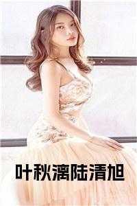 女主叫叶秋